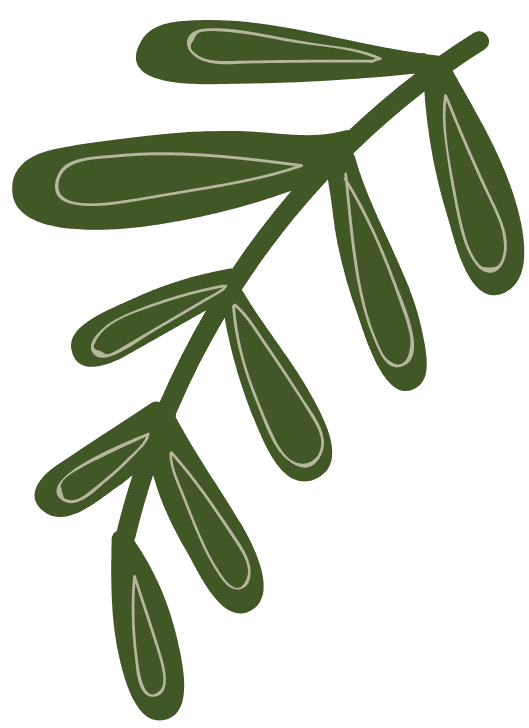 NGUYỄN MẠNH TÚ